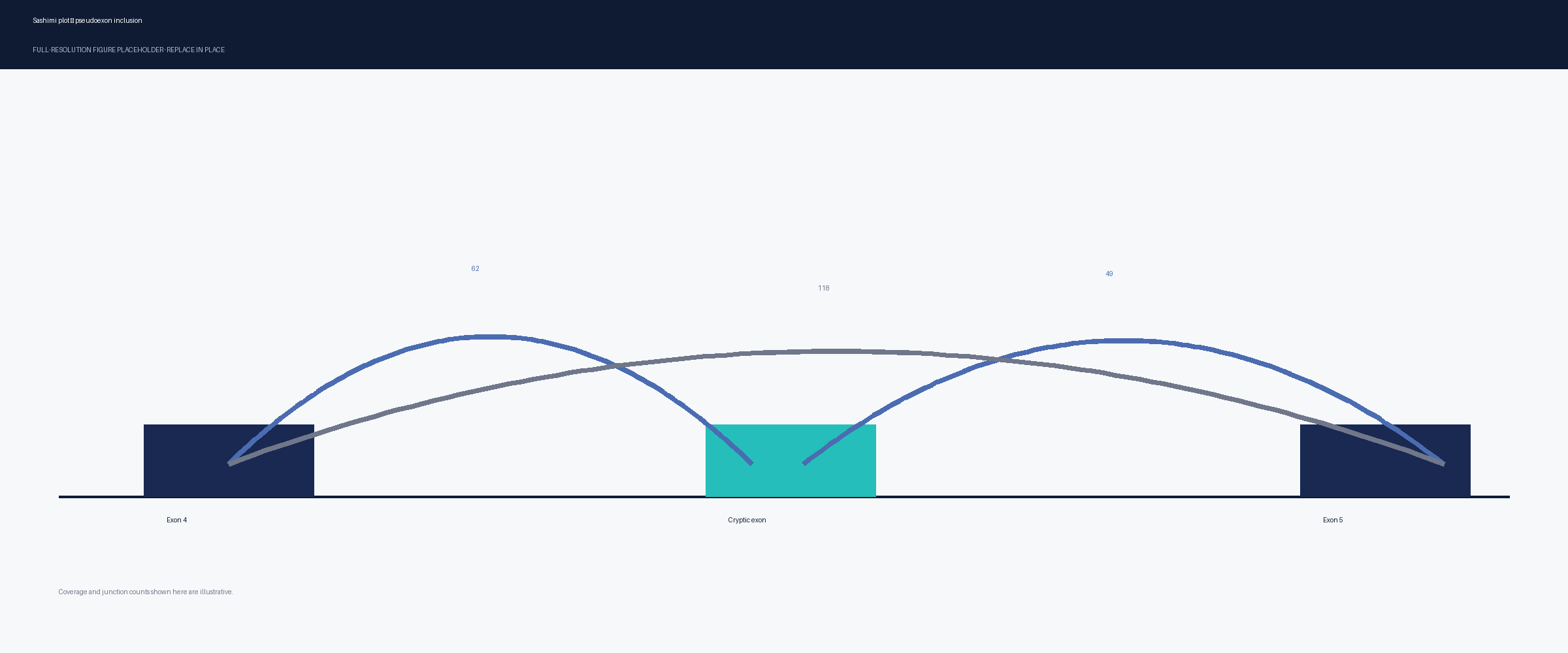 Sashimi plot of read coverage across an intron, with arcs marking canonical and cryptic splice junctions around an included pseudoexon.